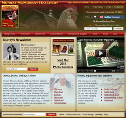 Murray Mcmurray Hatchery website sneak peak