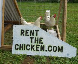 RentTheChicken.com